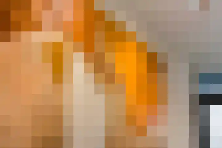 Veemarktstraat 115 Rotterdam thumbnail 7