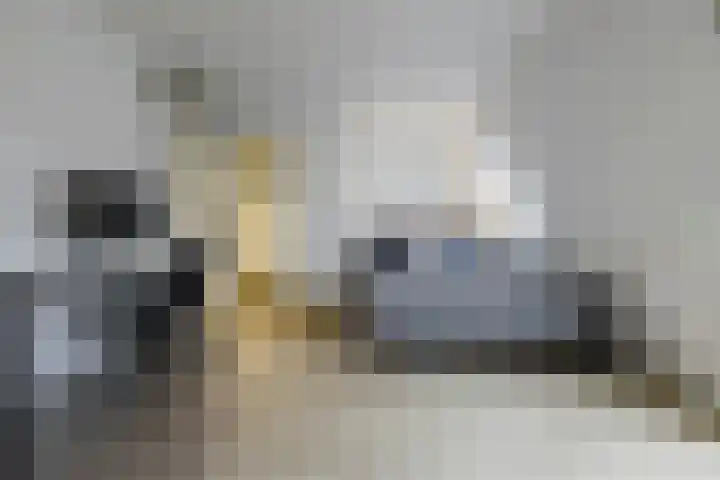 Veemarktstraat 115 Rotterdam thumbnail 9