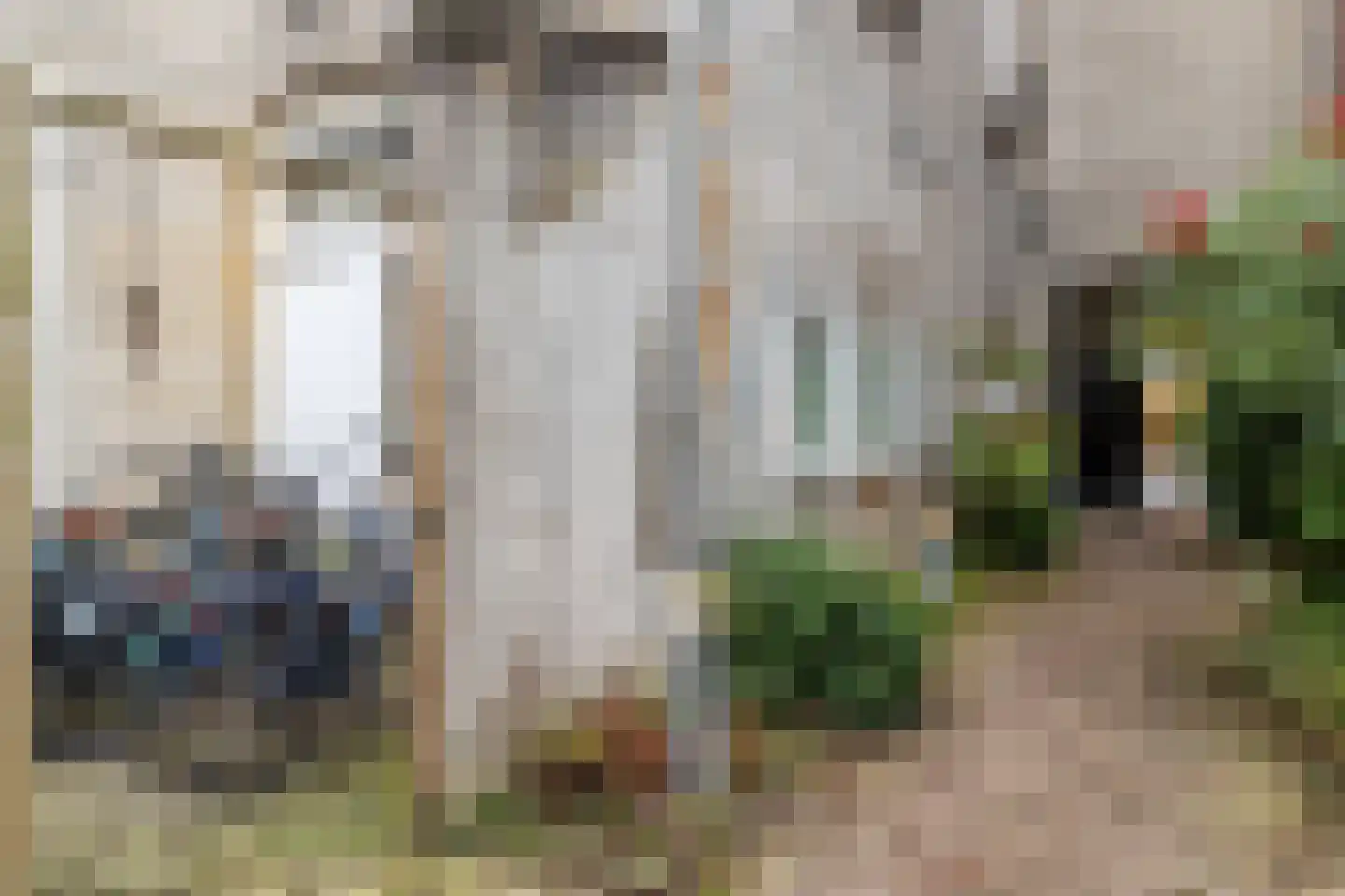 Veemarktstraat 13 B Breda thumbnail 39