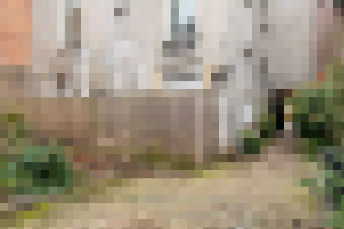 Veemarktstraat 13 B Breda thumbnail 40