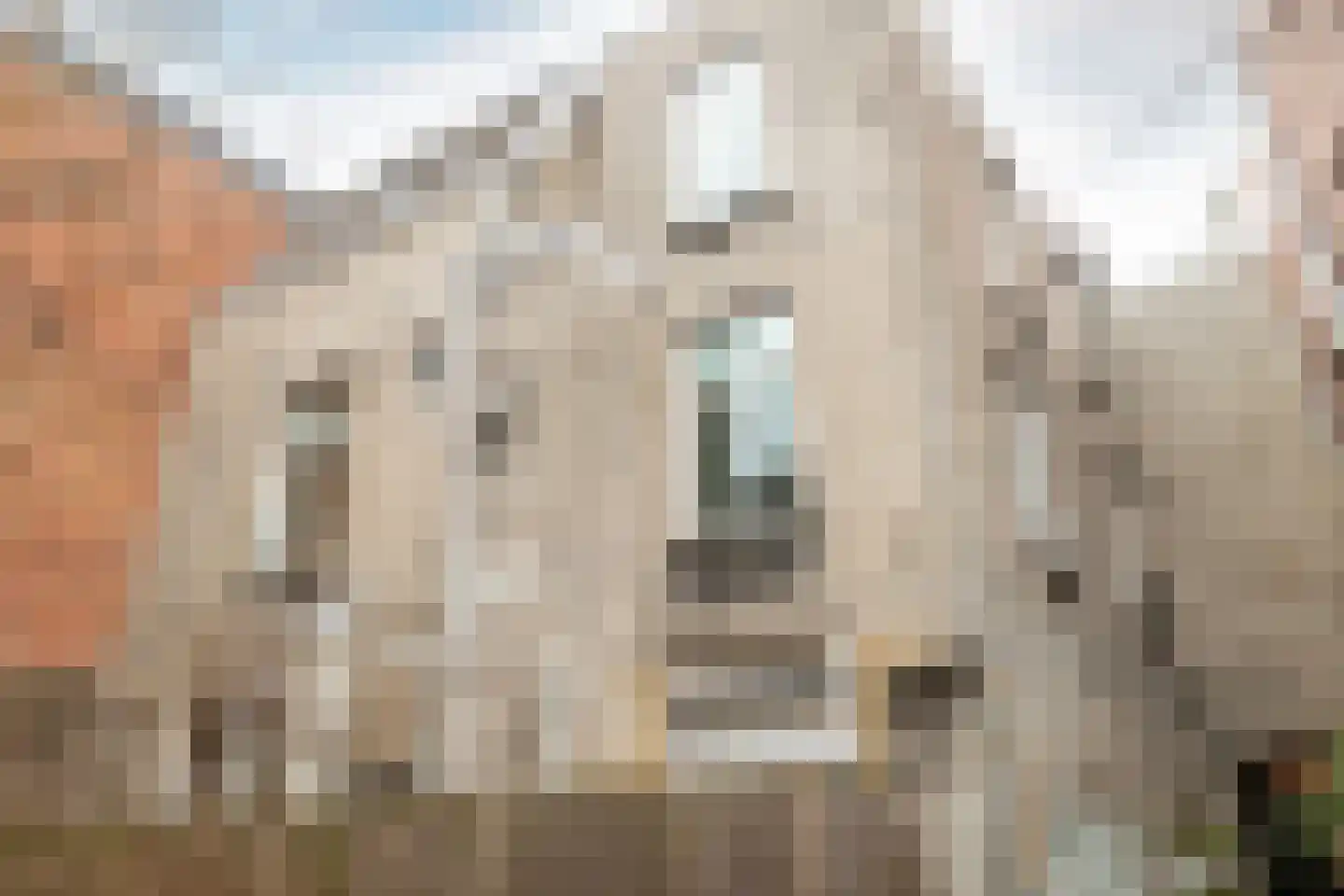 Veemarktstraat 13 B Breda thumbnail 41