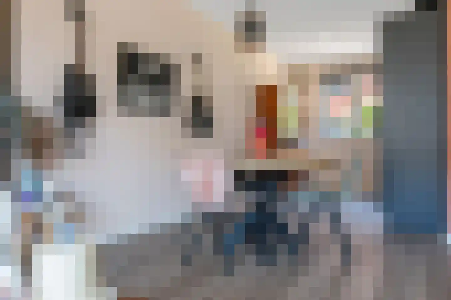 Veemarktstraat 18 Assen thumbnail 11