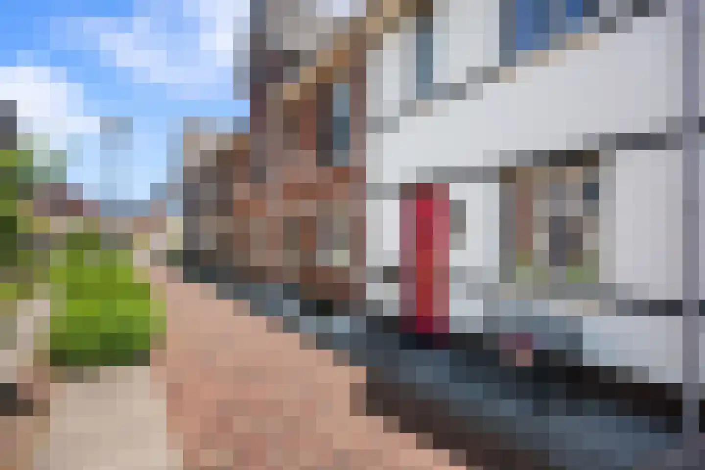 Veemarktstraat 18 Assen thumbnail 35