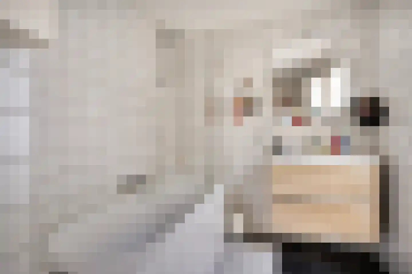 Veemarktstraat 22 B Breda thumbnail 22