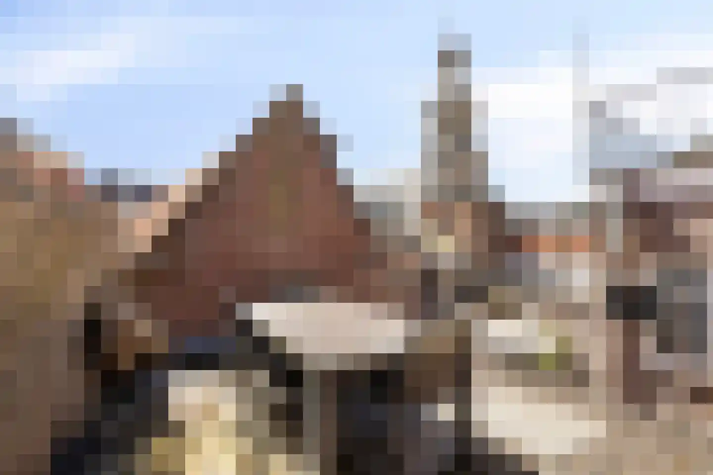 Veemarktstraat 22 B Breda thumbnail 8