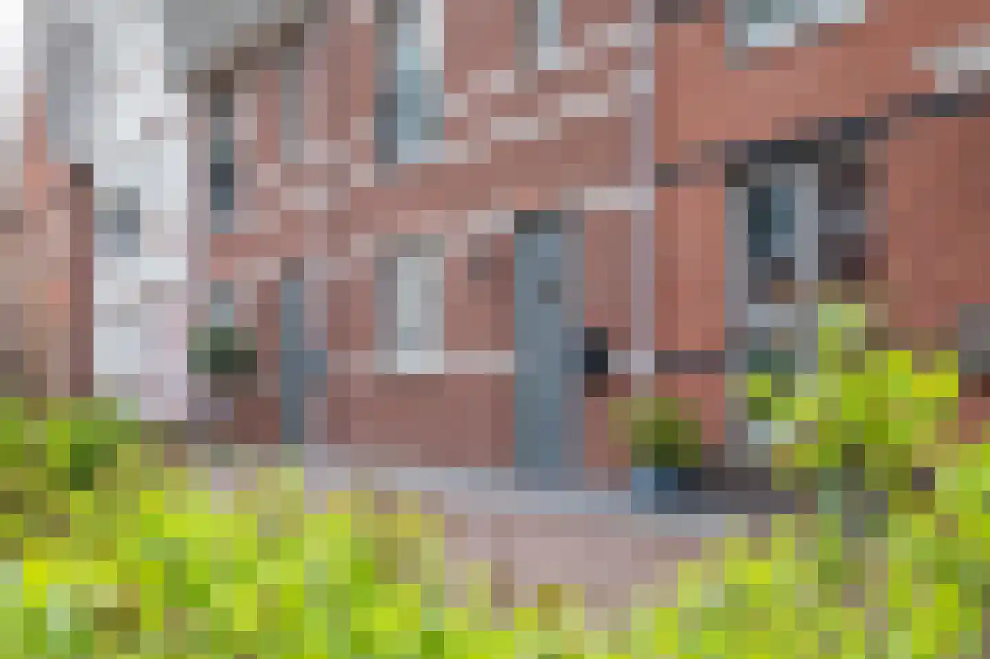 Veemarktstraat 23 Assen thumbnail 11
