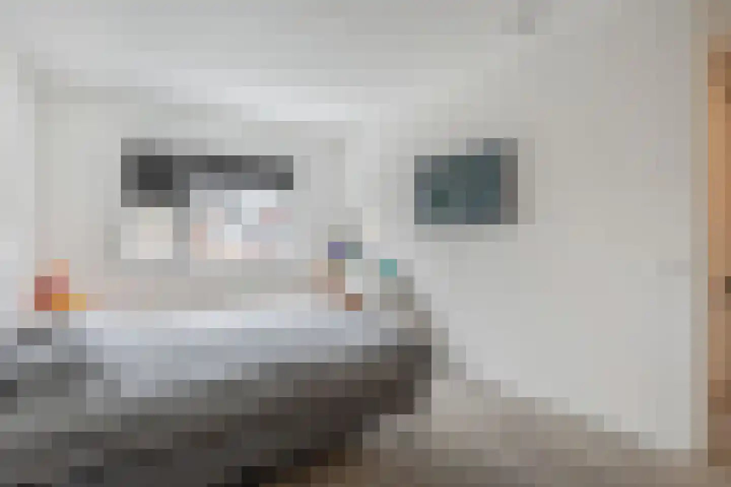 Veemarktstraat 23 Assen thumbnail 27