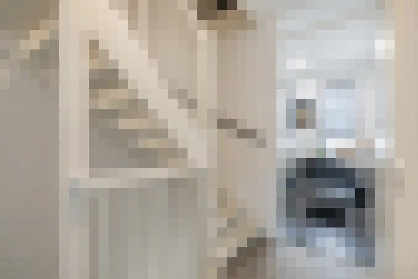 Veemarktstraat 23 Assen thumbnail 32