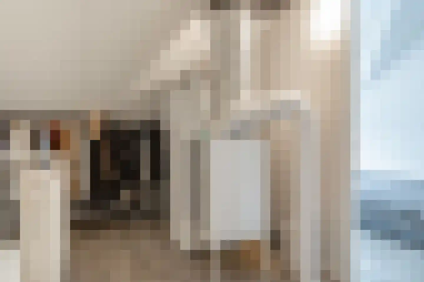 Veemarktstraat 23 Assen thumbnail 33