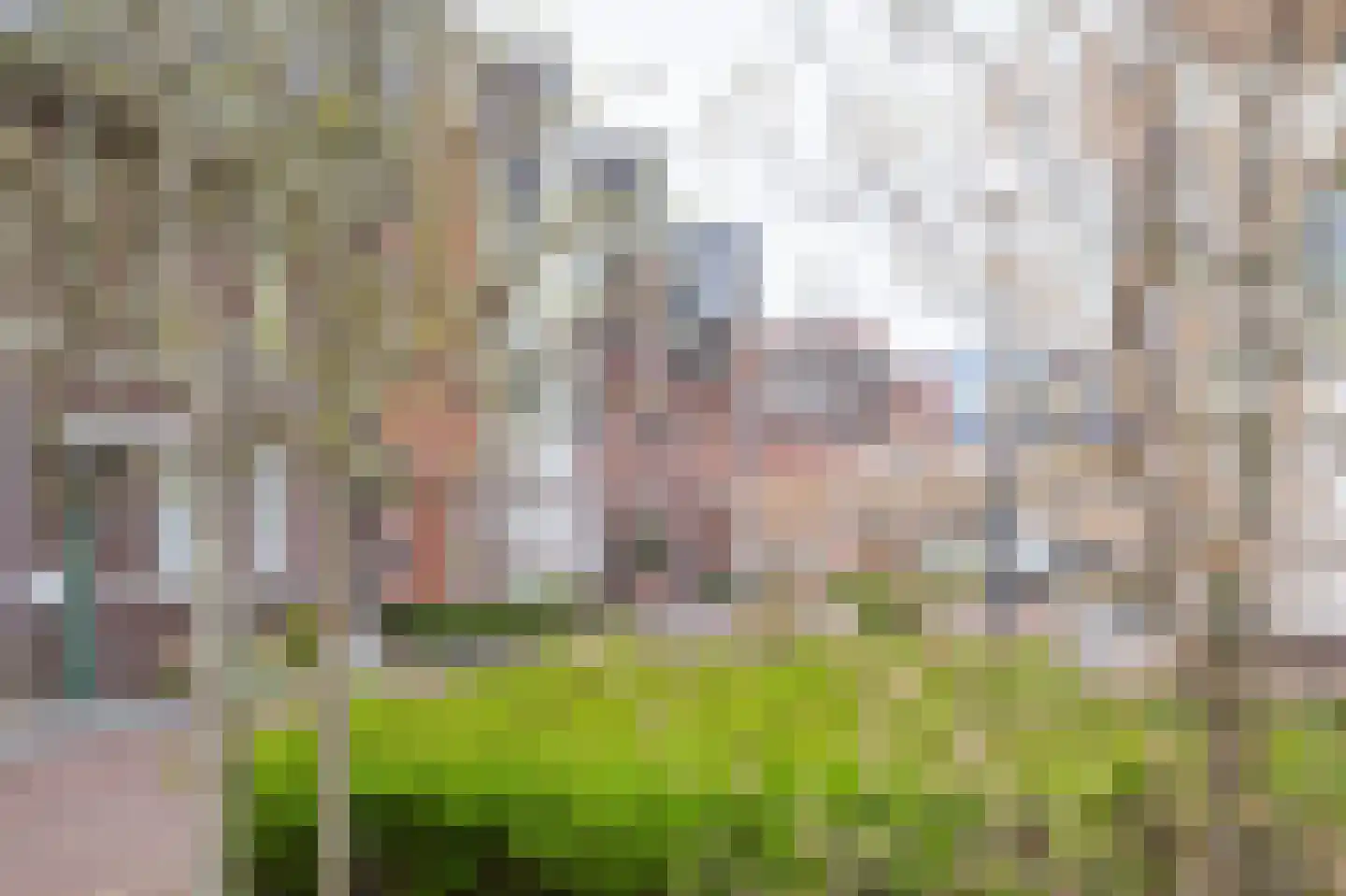 Veemarktstraat 23 Assen thumbnail 9