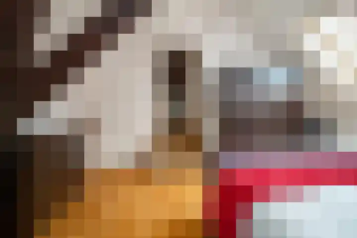 Veemarktstraat 25 B Breda thumbnail 38