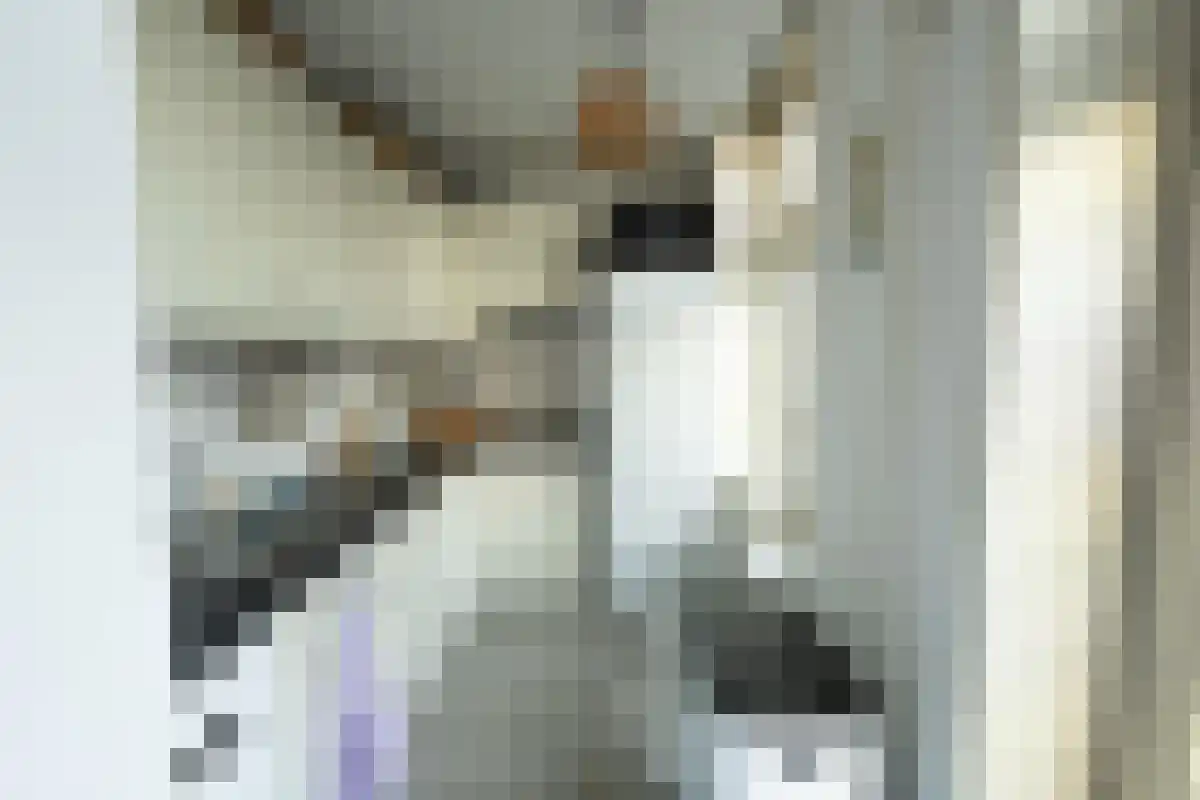 Veemarktstraat 31 Breda thumbnail 5