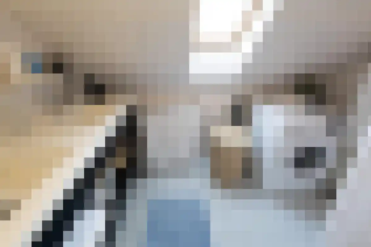 Veemarktstraat 31 Breda thumbnail 6