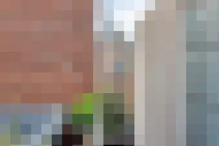 Veemarktstraat 9 09 Tilburg thumbnail 21