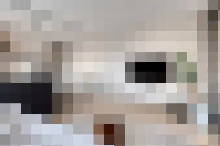 Veemarktstraat 9 09 Tilburg thumbnail 6
