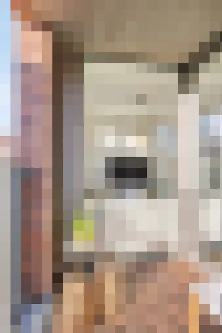 Veemarktstraat 9 14 Tilburg thumbnail 13