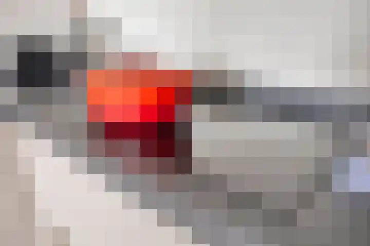 Veemarktstraat 9 30 Tilburg thumbnail 17