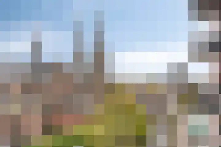 Veemarktstraat 9 30 Tilburg thumbnail 4