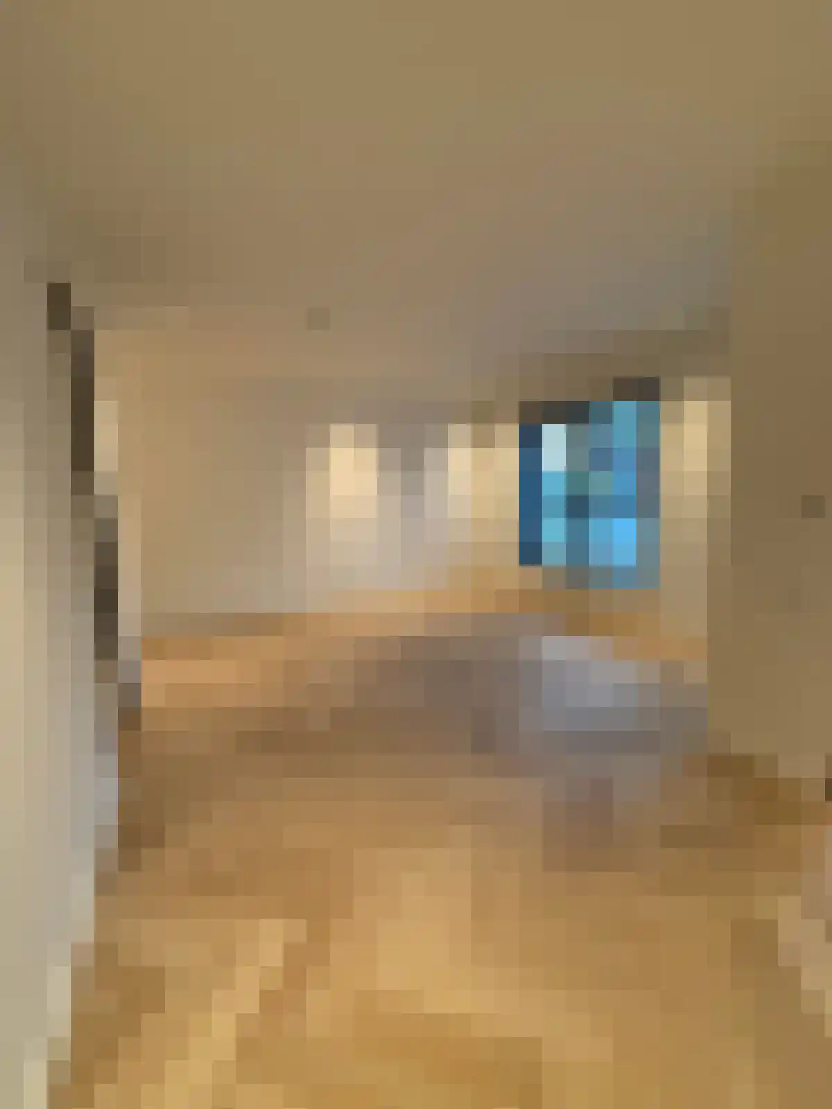 Veemarktstraat 96 Groningen thumbnail 5