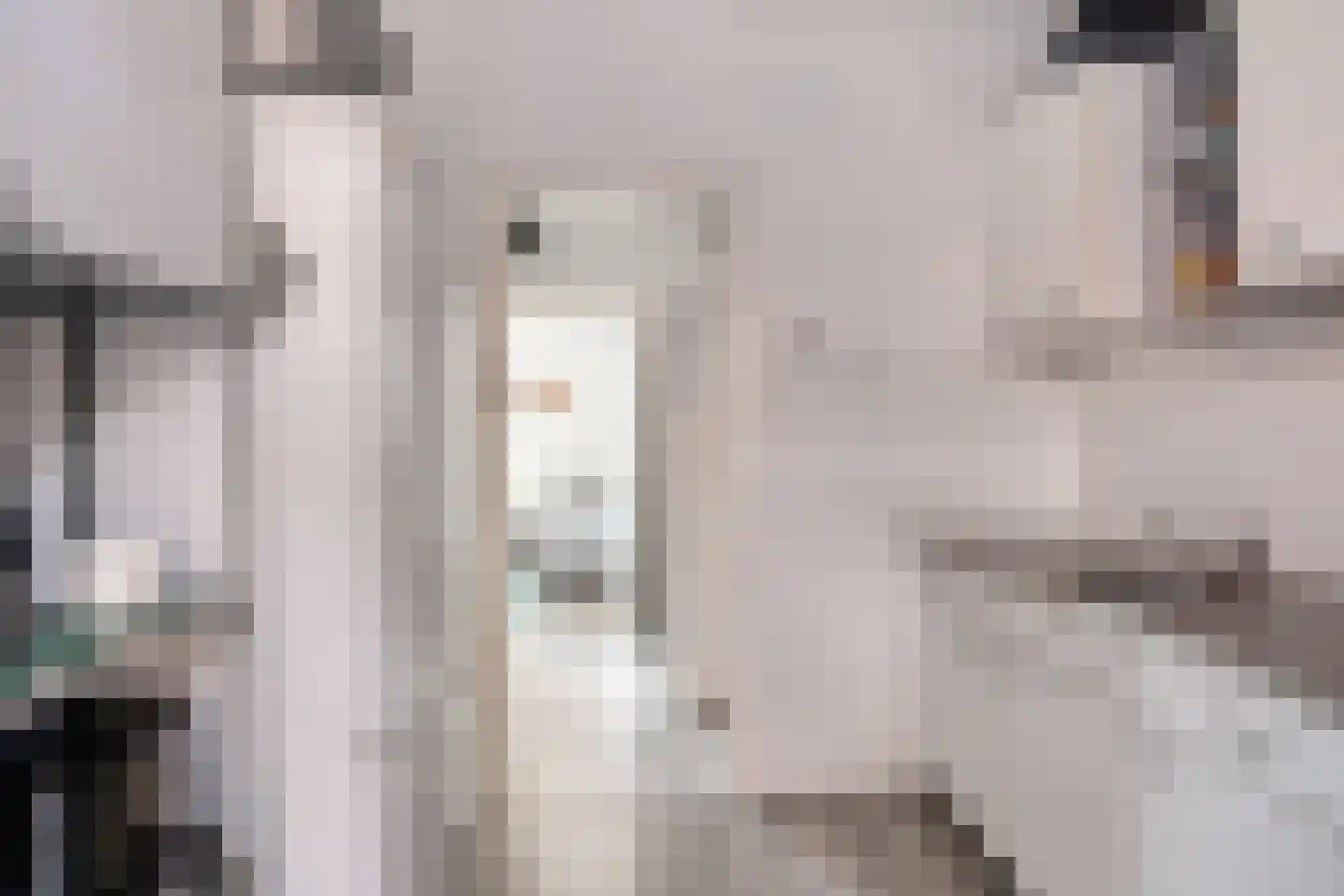 Veemarktstraat 99 a Groningen thumbnail 36