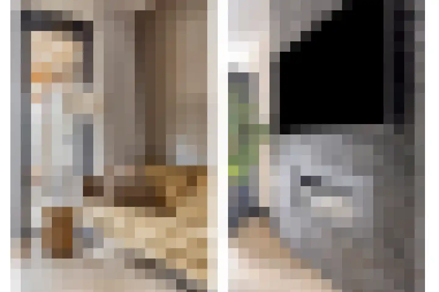 Veemarktzicht 31 Assen thumbnail 10