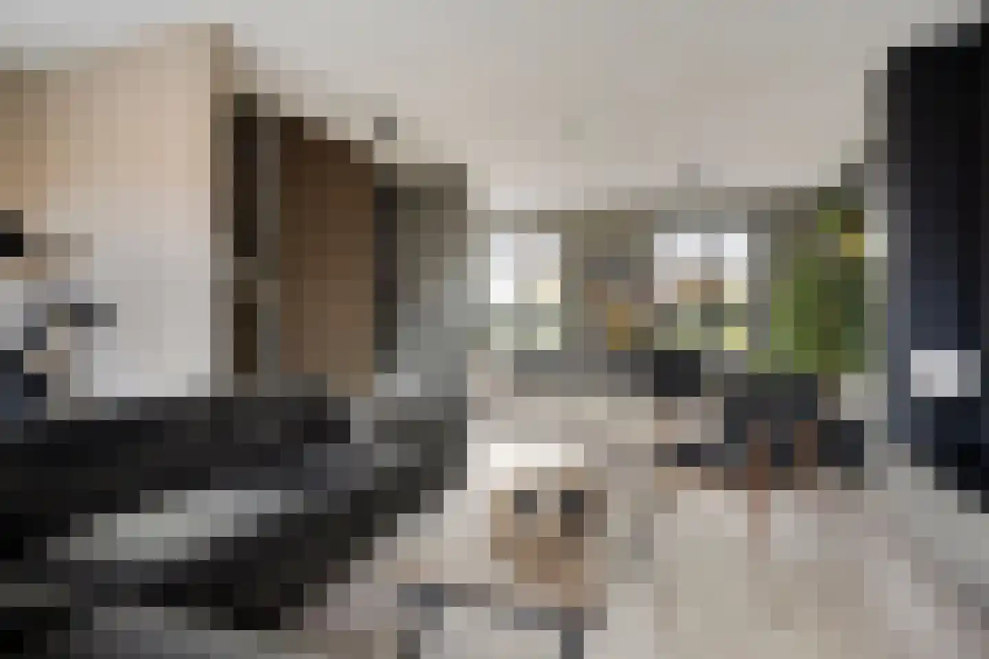 Veemarktzicht 31 Assen thumbnail 15
