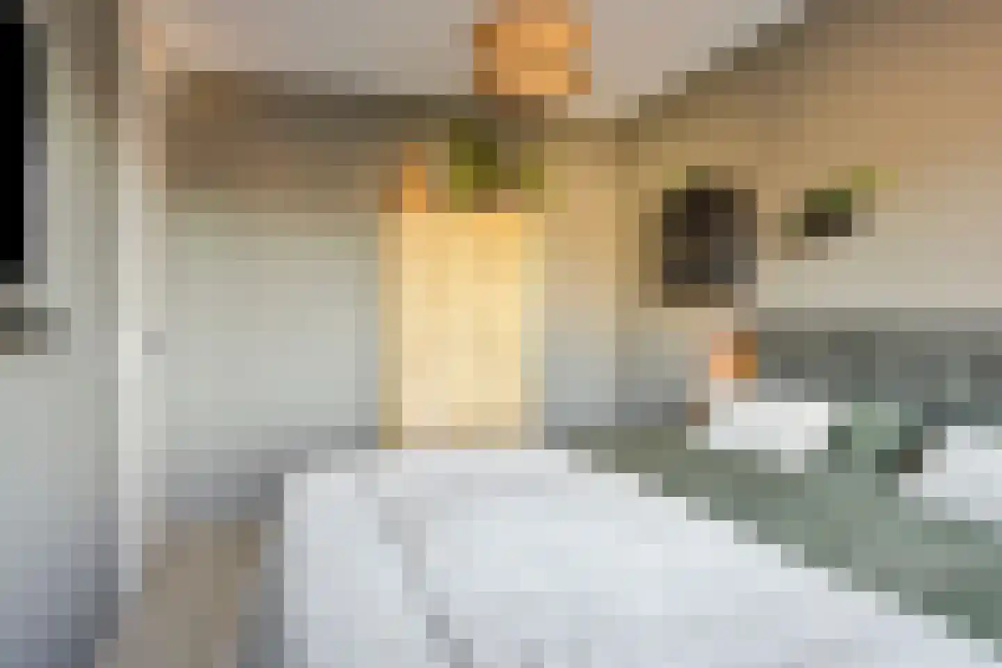 Veemarktzicht 31 Assen thumbnail 19