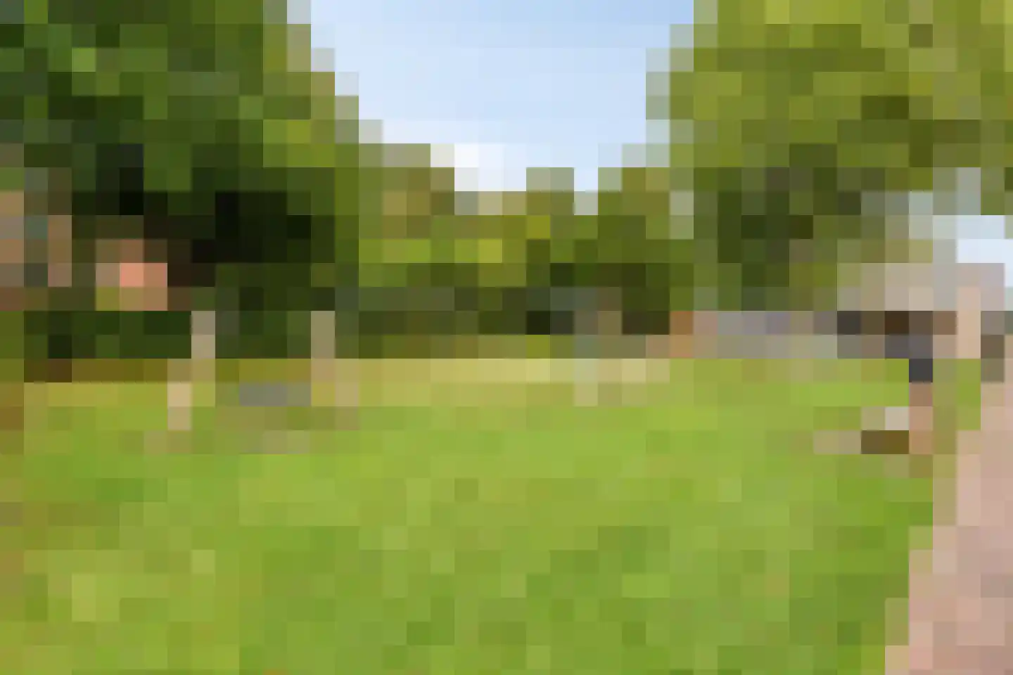Veemarktzicht 31 Assen thumbnail 33