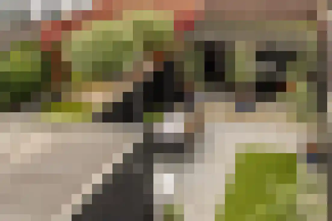Veemarktzicht 31 Assen thumbnail 34