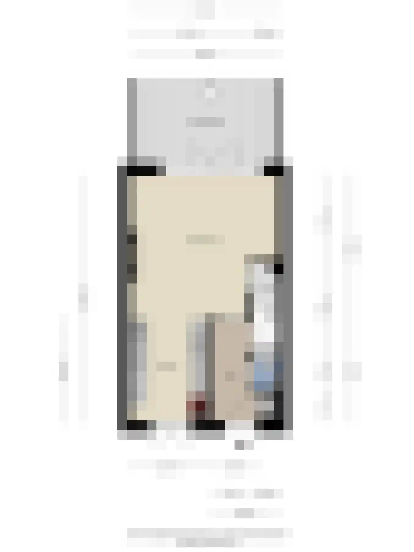 Veemarktzicht 31 Assen thumbnail 40