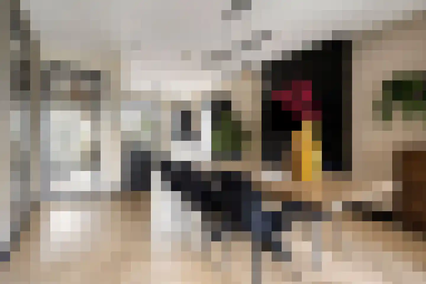 Veemarktzicht 31 Assen thumbnail 5