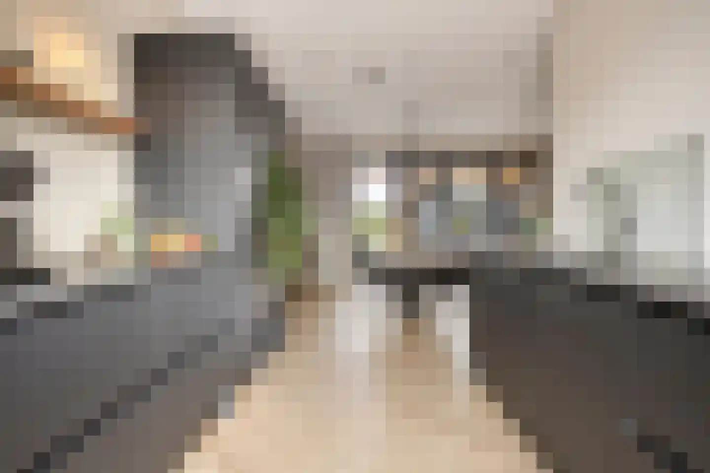 Veemarktzicht 31 Assen thumbnail 8