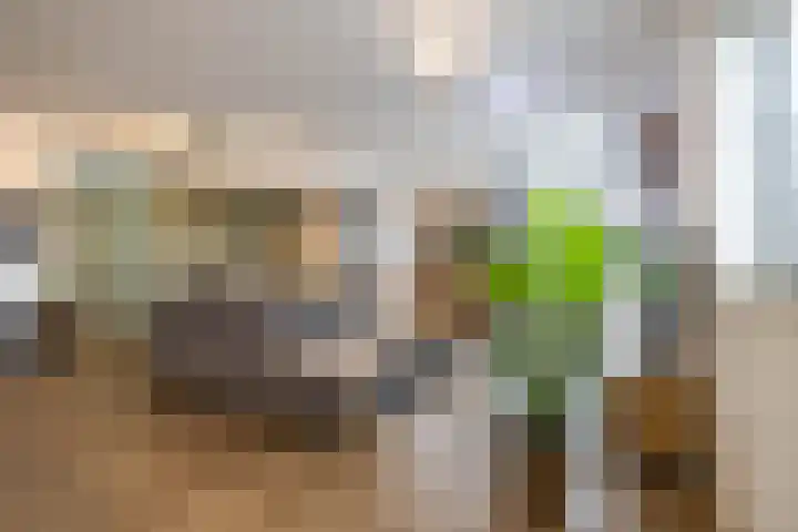 Veemarktzicht 35 Assen thumbnail 14