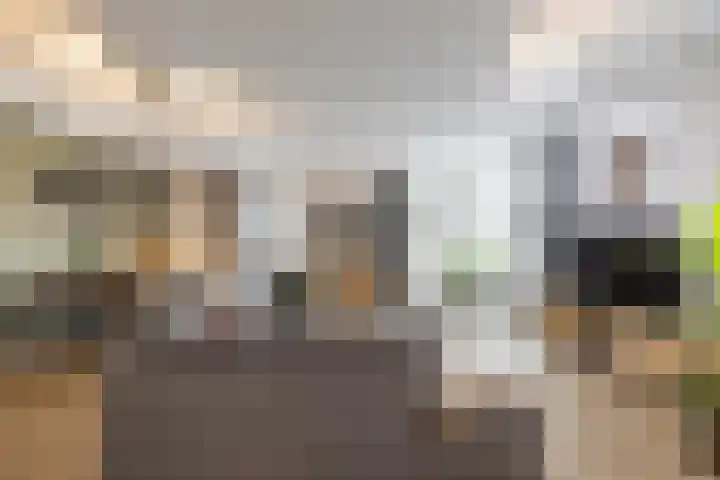 Veemarktzicht 35 Assen thumbnail 15