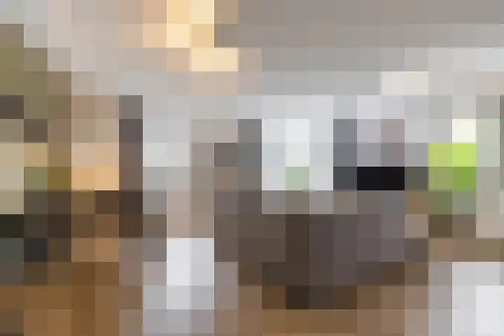 Veemarktzicht 35 Assen thumbnail 16