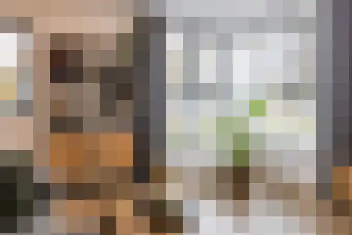 Veemarktzicht 35 Assen thumbnail 17