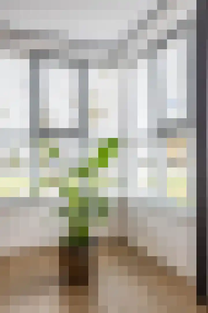 Veemarktzicht 35 Assen thumbnail 18