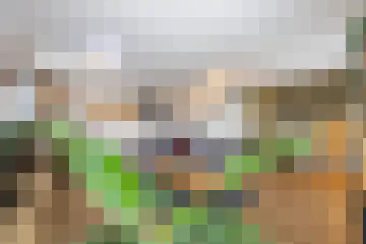 Veemarktzicht 35 Assen thumbnail 19