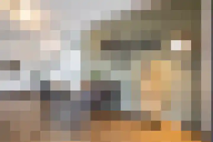 Veemarktzicht 35 Assen thumbnail 21