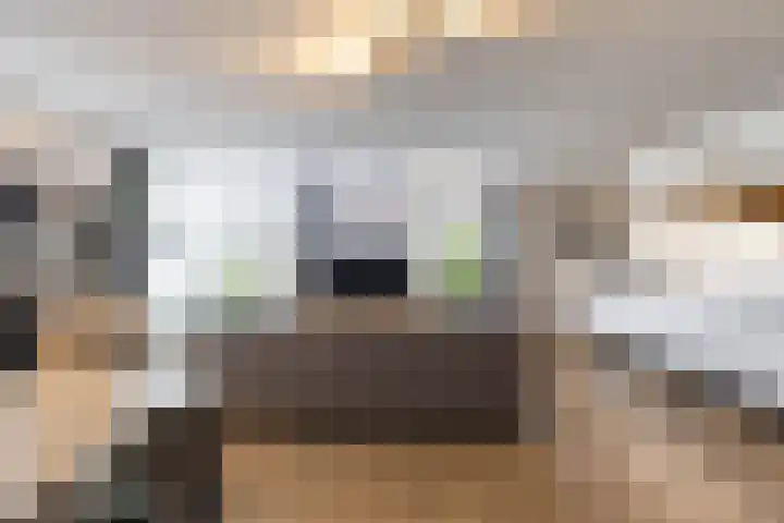 Veemarktzicht 35 Assen thumbnail 25