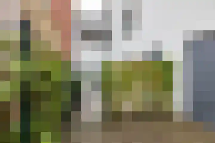 Veemarktzicht 35 Assen thumbnail 45