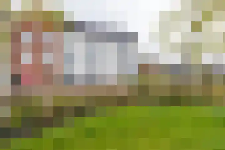 Veemarktzicht 35 Assen thumbnail 5