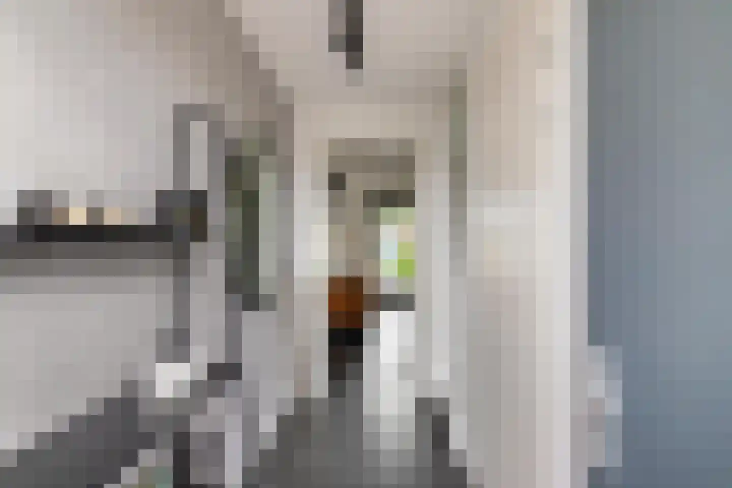 Veemarktzicht 7 Assen thumbnail 11