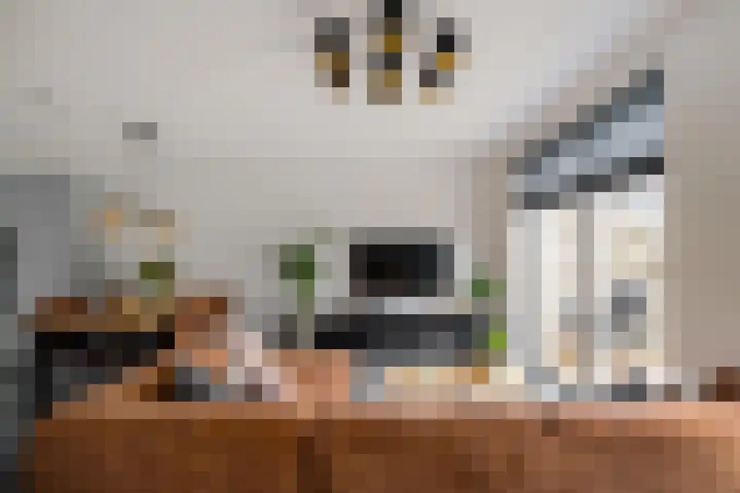 Veemarktzicht 7 Assen thumbnail 14