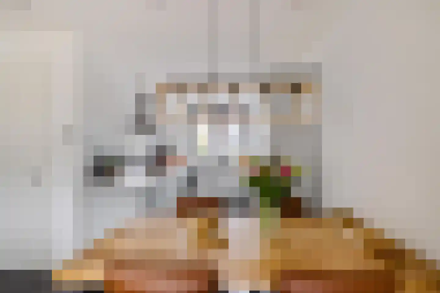 Veemarktzicht 7 Assen thumbnail 17