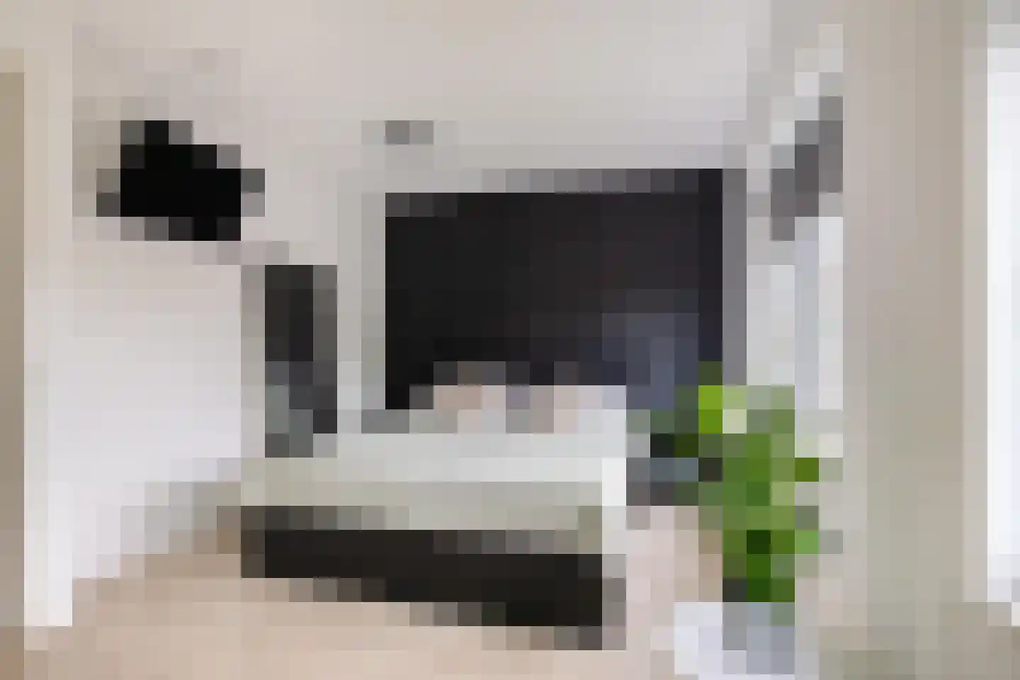 Veemarktzicht 7 Assen thumbnail 23