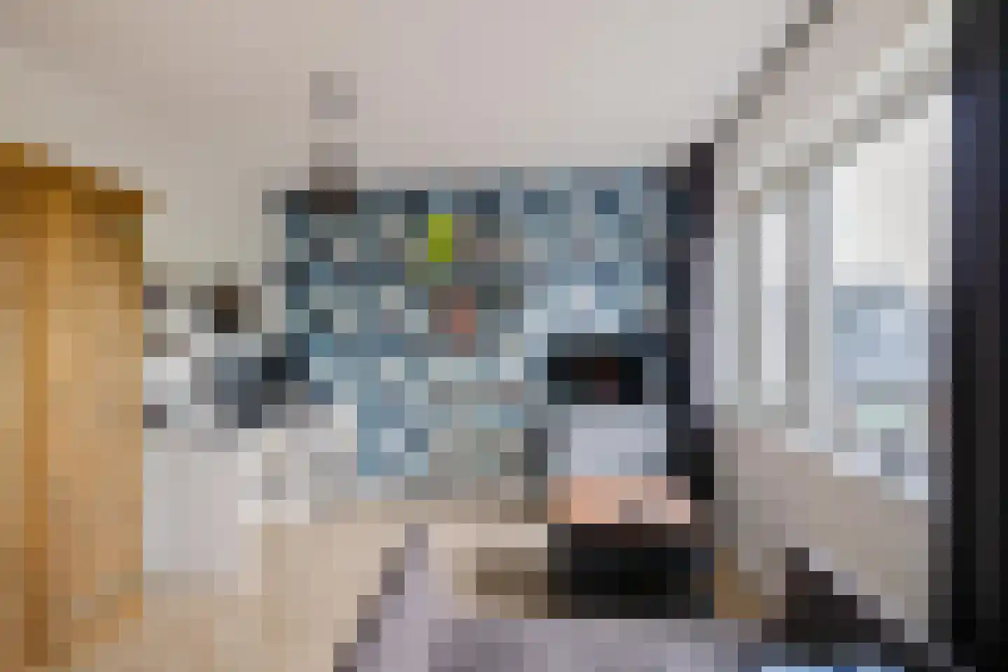 Veemarktzicht 7 Assen thumbnail 32