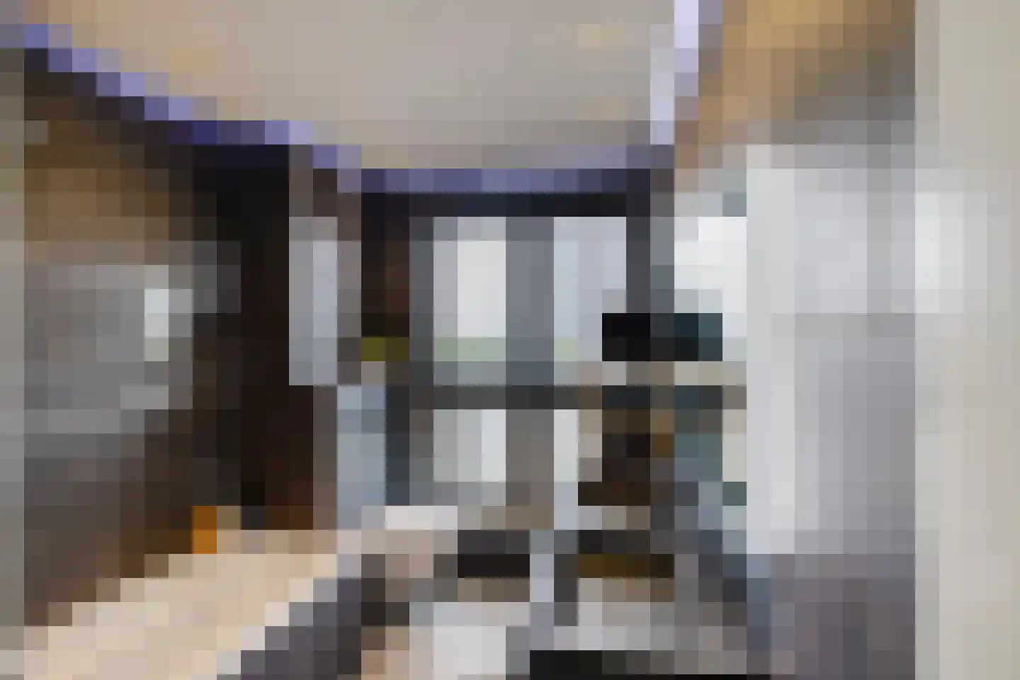 Veemarktzicht 7 Assen thumbnail 38