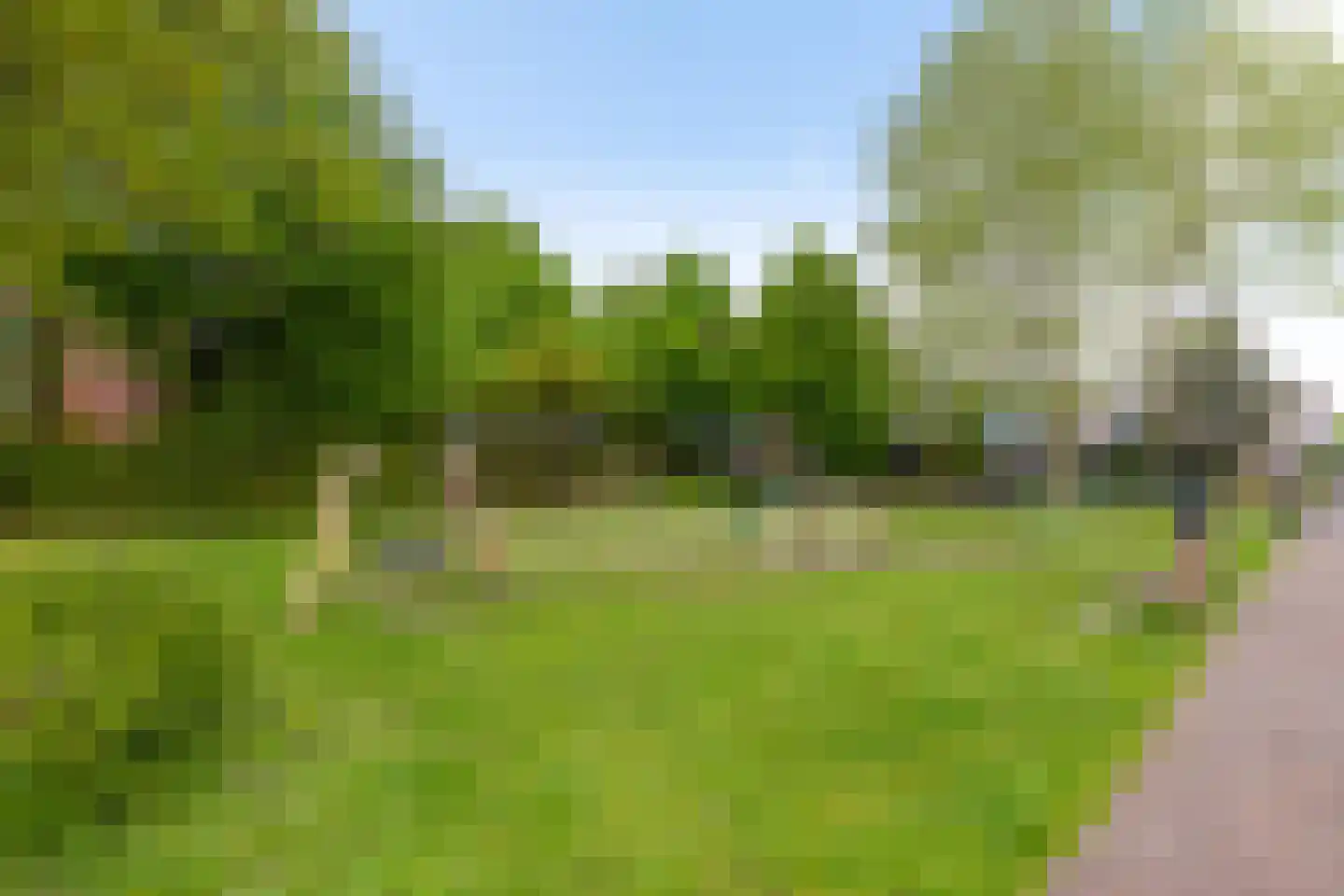 Veemarktzicht 7 Assen thumbnail 5