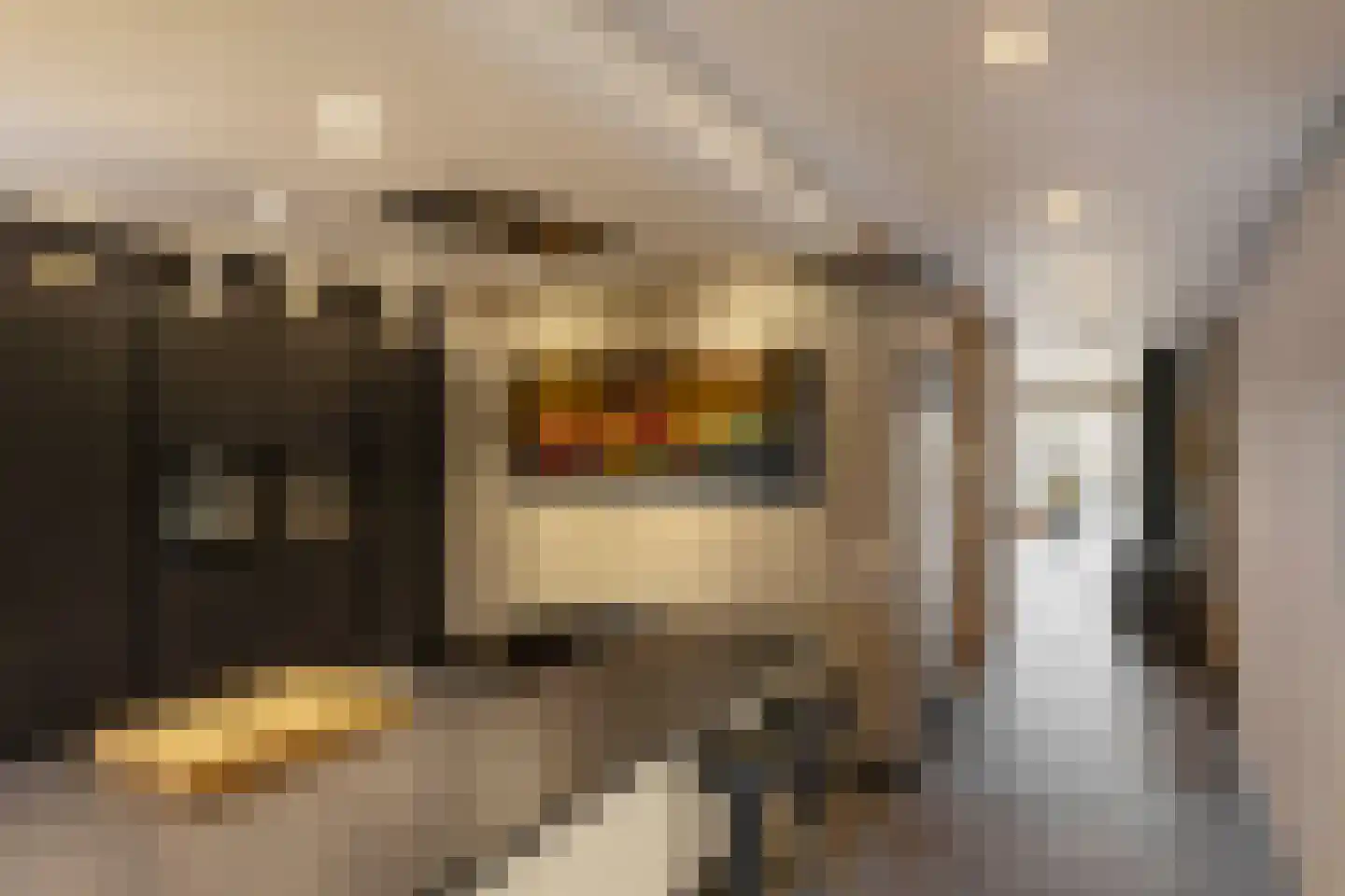 Veembroederhof 121 Amsterdam thumbnail 11